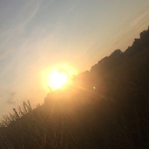 Meet your Posher, Gracie